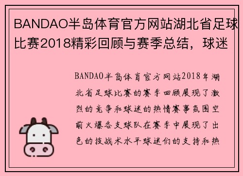 BANDAO半岛体育官方网站湖北省足球比赛2018精彩回顾与赛季总结，球迷热情高涨，赛事氛围火爆