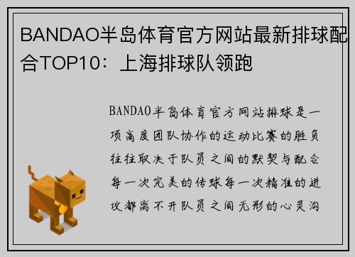 BANDAO半岛体育官方网站最新排球配合TOP10：上海排球队领跑